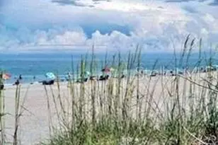 9113 Coachman Dr, Venice, FL 34293 - Photo 81