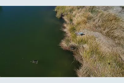 10399 Medjool Drive, Venice, FL 34293 - Photo 69