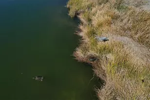 10399 Medjool Dr, Venice, FL 34293 - Photo 69