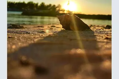 2542 Cortenova Court, Venice, FL 34292 - Photo 87