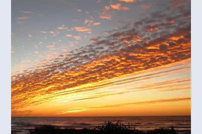 337 Harbor Drive S, Venice, FL 34285 - Photo 47