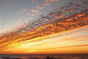 337 Harbor Dr S, Venice, FL 34285 - Photo 47