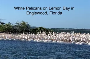 9367 Carnaby Dr, Venice, FL 34293 - Photo 95