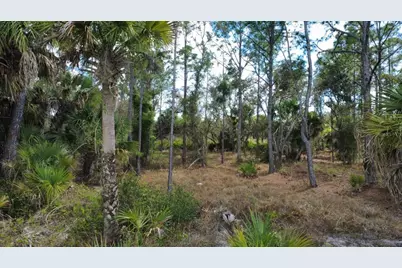 17455 Bly Avenue, Port Charlotte, FL 33948 - Photo 5