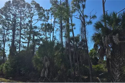 Lot 29 / Block 254 Allegheny Lane, North Port, FL 34286 - Photo 1