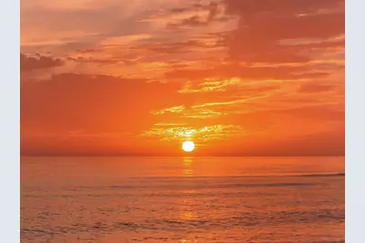 194 Cipriani Way, North Venice, FL 34275 - Photo 91