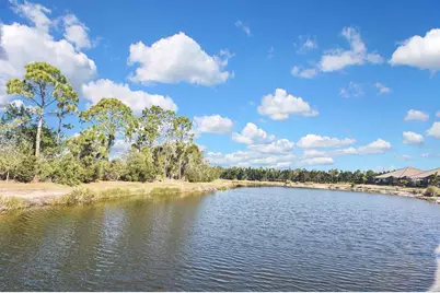 26875 Pavin Drive, Englewood, FL 34223 - Photo 59