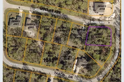 Lot 6 Tasco Drive, North Port, FL 34291 - Photo 3