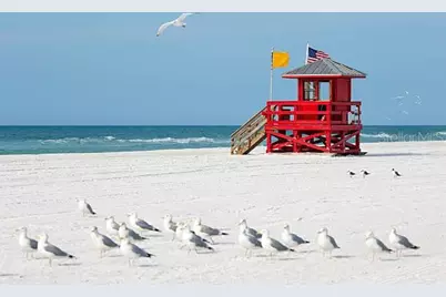 2068 Sunnyside Lane, Sarasota, FL 34239 - Photo 69