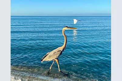 1725 Overbrook Road, Englewood, FL 34223 - Photo 89