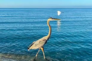 1725 Overbrook Rd, Englewood, FL 34223 - Photo 89