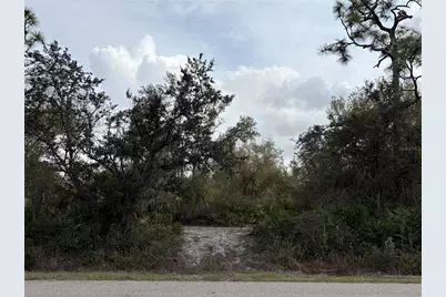 29181 Defiance Avenue, Punta Gorda, FL 33982 - Photo 1