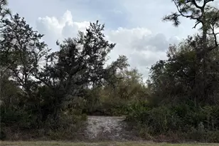 29181 Defiance Ave, Punta Gorda, FL 33982 - Photo 1