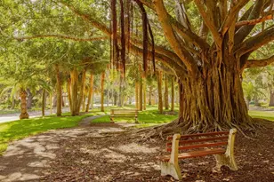 3180 Fallow Rd, Venice, FL 34293 - Photo 53