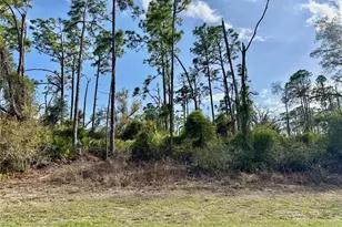 Lot 4 Abernant Ave, North Port, FL 34287 - Photo 1