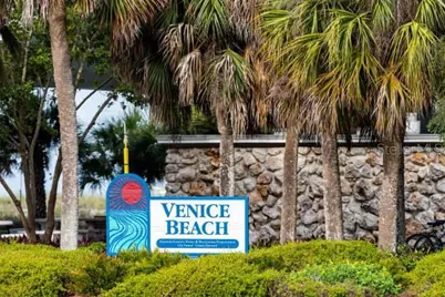 413 Cervina Drive N, Venice, FL 34285 - Photo 61