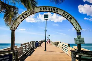 413 Cervina Dr N, Venice, FL 34285 - Photo 59