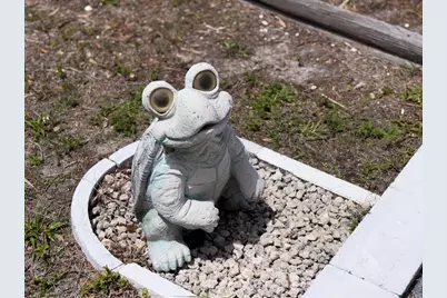 413 Cervina Drive N, Venice, FL 34285 - Photo 47