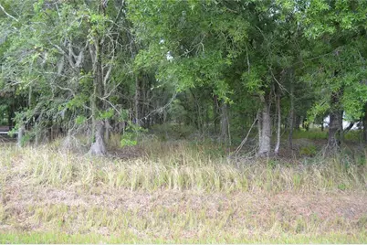 Bostick Road, Bowling Green, FL 33834 - Photo 5