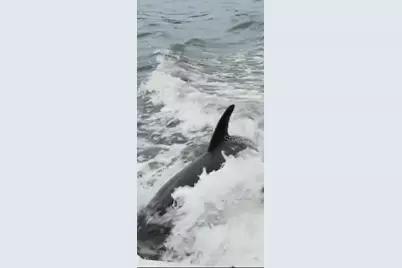 1537 Crest Drive, Englewood, FL 34223 - Photo 67