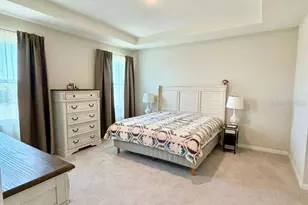 5452 Flint Hills Dr, Wimauma, FL 33598 - Photo 19
