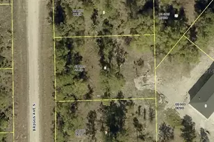 315 Briggs Ave S, Lehigh Acres, FL 33974 - Photo 1