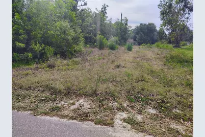 9283 Mandy Street, Punta Gorda, FL 33982 - Photo 3