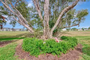 625 Misty Pine Dr, Venice, FL 34292 - Photo 45