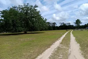 17749 SE 156th Place Rd, Weirsdale, FL 32195 - Photo 23