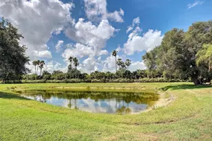 311 Wild Pine Way, Venice, FL 34292 - Photo 59