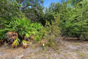238 Vestavia Dr, Venice, FL 34292 - Photo 29