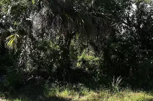 Desco Rd, North Port, FL 34286 - Photo 1