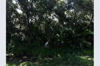 Desco Road, North Port, FL 34286 - Photo 5