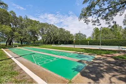 9330 New Orleans Drive, Weeki Wachee, FL 34613 - Photo 33