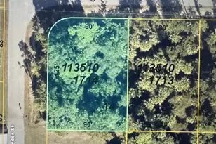 Skrip Ave, North Port, FL 34288 - Photo 1