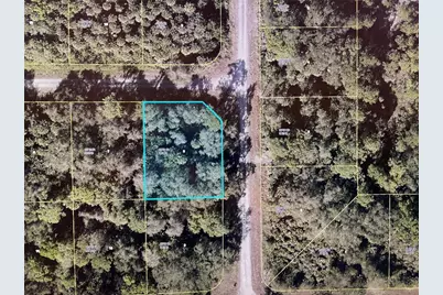 1224 Rosita Street E, Lehigh Acres, FL 33974 - Photo 1