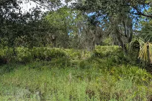 3241 Douglas Rd, Port Charlotte, FL 33980 - Photo 1