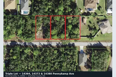 14372 Pennykamp Avenue, Port Charlotte, FL 33953 - Photo 1