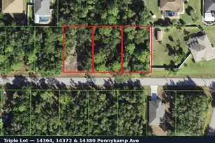 14372 Pennykamp Ave, Port Charlotte, FL 33953 - Photo 1