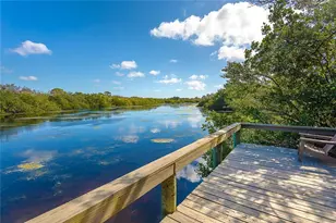 10720 Lemon Creek Loop, Englewood, FL 34224 - Photo 59