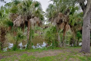415 Kindred Blvd, Port Charlotte, FL 33954 - Photo 59