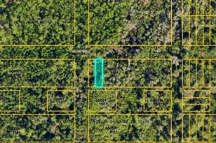Tonita Rd, Myakka City, FL 34251 - Photo 1