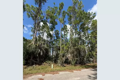 Carmelia Street, North Port, FL 34288 - Photo 7
