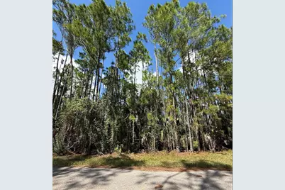 Carmelia Street, North Port, FL 34288 - Photo 3