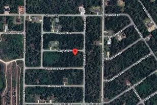 14491 Gary Ave, Port Charlotte, FL 33953 - Photo 1