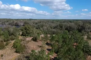 0 Crooked Mile Rd, Paisley, FL 32767 - Photo 1