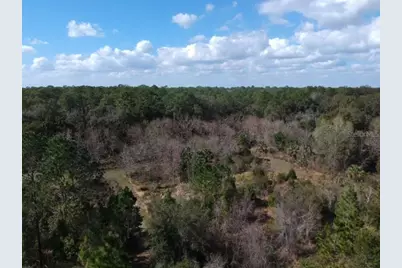 00 Crooked Mile Road, Paisley, FL 32767 - Photo 1