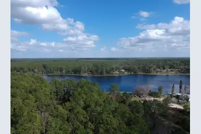 0 Gracie Drive, Paisley, FL 32767 - Photo 3