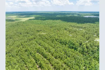 Cedar Road, New Smyrna Beach, FL 32168 - Photo 13