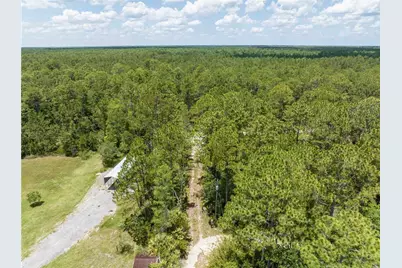 Cedar Road, New Smyrna Beach, FL 32168 - Photo 15